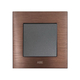 ABE TITANIUM T1N-12C 2-way double switch brown