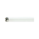 Fluorescent lamp 1.2m Dien Quang MaxX 802 FL T8 32W Daylight Triphosphor