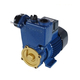 Panasonic GP-250JXK-NV5 250W high pressure pump