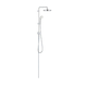 Cây sen tắm trọn bộ NTP210 GROHE 26381001
