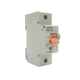 Aptomat loại 1 cực dòng điện 100A LiOA MCB1100/6