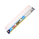 Thước kẻ dẻo 30cm WinQ