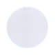 Rang Dong LN12N 300/24W round ceiling LED Downlight white light