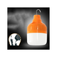 100W rechargeable light bulb