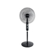 Dien Quang DQ ESF02B black standing fan