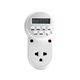 Ổ cắm hẹn giờ 1 lỗ 3 chấu Điện Quang ĐQ ESK DT12 W 13
