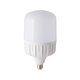 LED bulb RANG DONG TR140N1/50W E27 LED SS white light