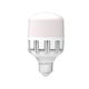 Đèn led bulb 30W Điện Quang ĐQ LEDBU10 30765AW (Daylight)