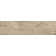 Gạch Vân Gỗ, Mờ, DELCONCA, FI 1 20*80