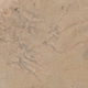 Stone Tiles, Matte, CASALGRANDE, CHALON BEIGE 60*120