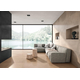Gạch Vân Cement, Mờ, CASALGRANDE, R-EVOLUTION TERRA 60*120 10MM