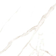 Stone Tiles, Matte, CASALGRANDE, STATUARIO ORO 59*59