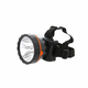 Đèn pin đội đầu Điện Quang ĐQ PFL13 R BLO
