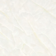 Gạch vân đá Bóng YK871 80x80
