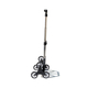 Xe đẩy hàng leo bậc thang tải trọng 70kg Advindeq TL-35/70