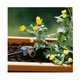 Gardena 08327-20 3/16' (4.6mm) Irrigation Pipe Fixing Bar Box