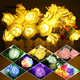 5m long decorative LED string lights, 20 color changing rose shaped bulbs, battery operated