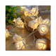 Dây đèn LED trang trí dài 5m, 20 bóng hình hoa hồng dùng pin