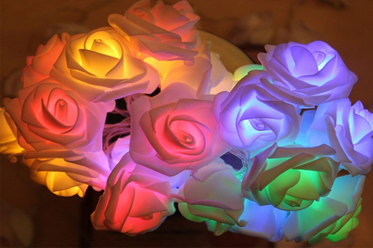 dây đèn LED trang trí dài 5m, 20 bóng hình hoa hồng có đổi màu dùng pin