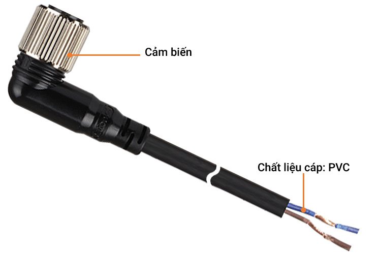 Cáp nối cảm biến dạng nối L Autonics CLD2-2