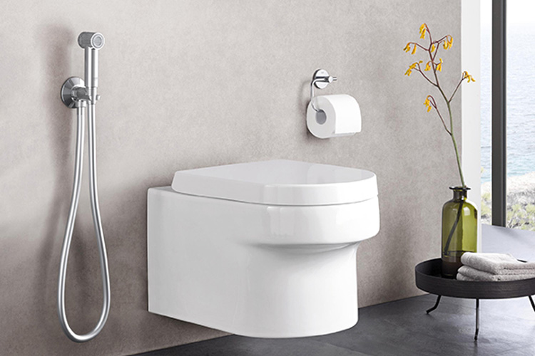 Bộ tay xịt Ntemp - F 30 GROHE 26358000