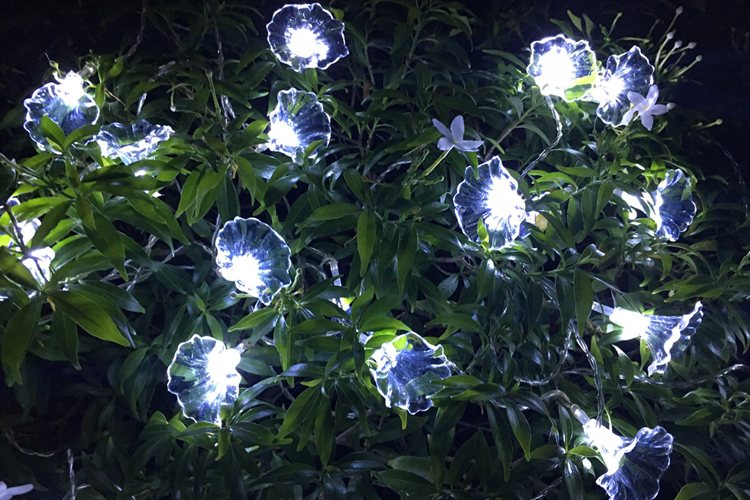 Dây đèn LED trang trí dài 5m, 20 bóng hình hoa trắng dùng pin