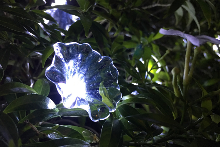 Dây đèn LED trang trí dài 5m, 20 bóng hình hoa trắng Poyee PS520-WF