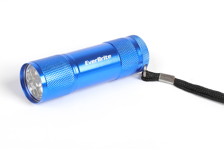 Đèn LED 6 bóng Everbrite màu xanh dương E000060