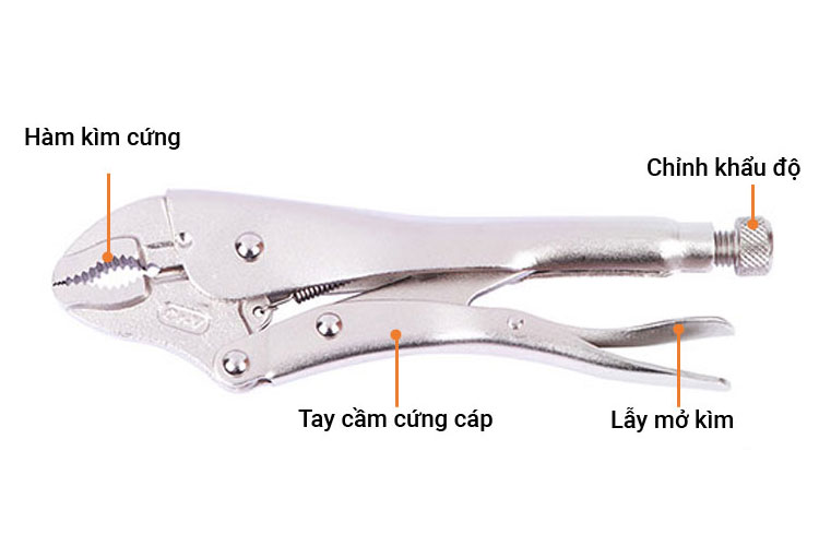Kìm bấm chết mũi cong 7 inches/180mm Workpro W031072