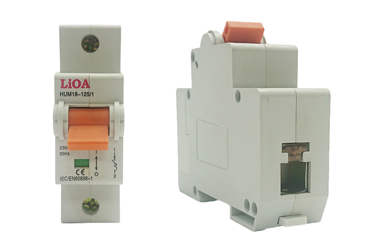 Aptomat loại 1 cực dòng điện 100A LiOA MCB1100/6