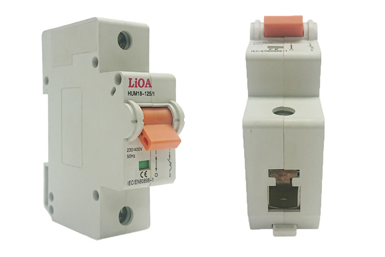 Aptomat loại 1 cực dòng điện 100A LiOA MCB1100/6