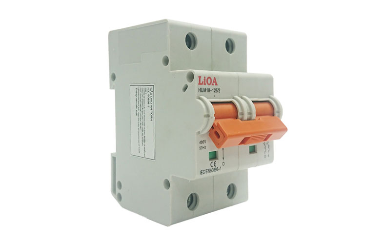 Aptomat loại 2 cực dòng điện 06A LiOA MCB2006/4,5