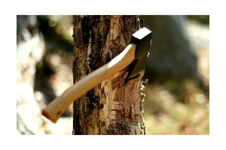 Búa rìu cán gỗ 1250g Tolsen 25256