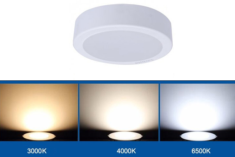 bộ đèn LED nổi Philips DN027C LED12 D175 15W 6500K