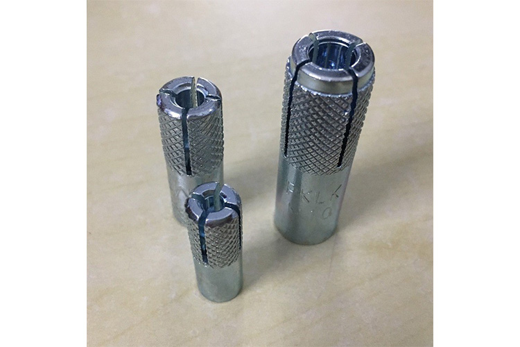 Tắc kê đạn 10 ly LTH05600TKD1000N - 3