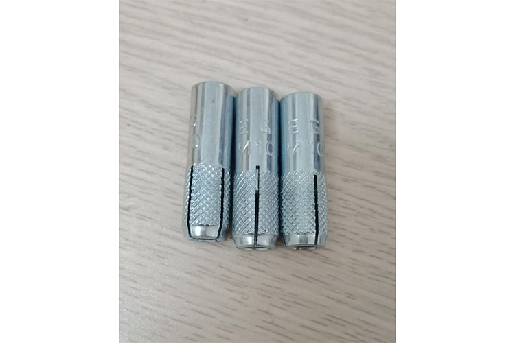 Tắc kê đạn 10 ly LTH05600TKD1000N - 4