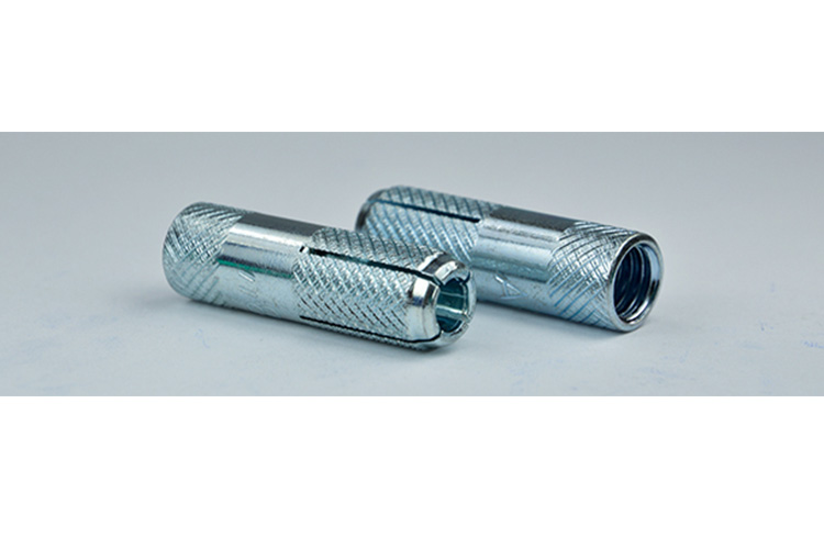 Tắc kê đạn 10 ly LTH05600TKD1000N - 2