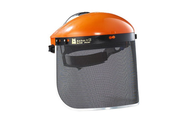 tấm kính che mặt 203x394mm dạng lưới Blue Eagle FC49