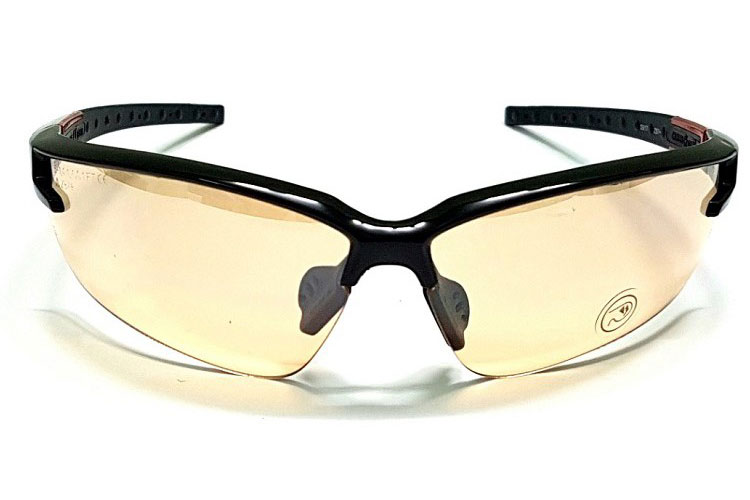 Kính bảo hộ Deltaplus FUJI2