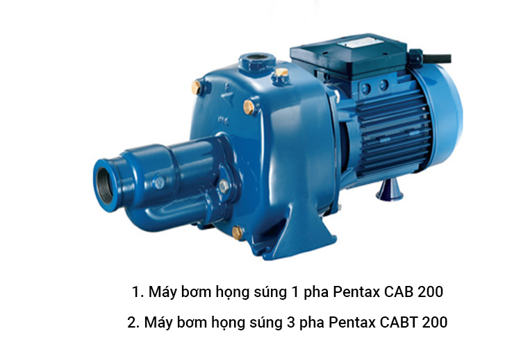 Máy bơm họng súng 0-6.6m³/h Pentax CAB 200