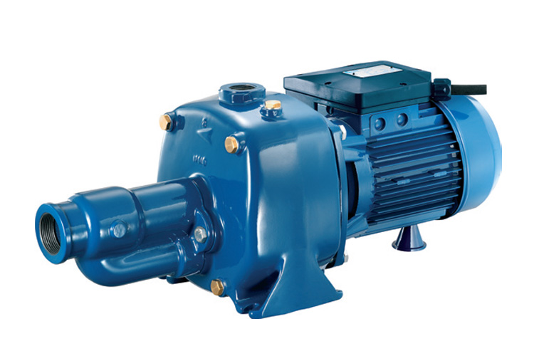 Máy bơm nước 8.4m³/h Pentax CAB 300