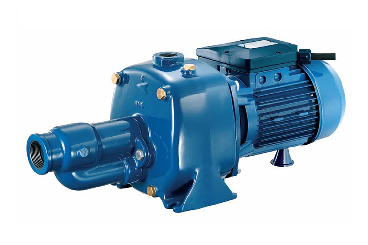 Máy bơm họng súng 1 pha 1.5HP Pentax CAB 150