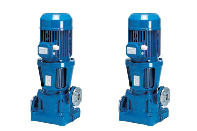 Máy bơm trục đứng cánh đồng Pentax Series MSVD