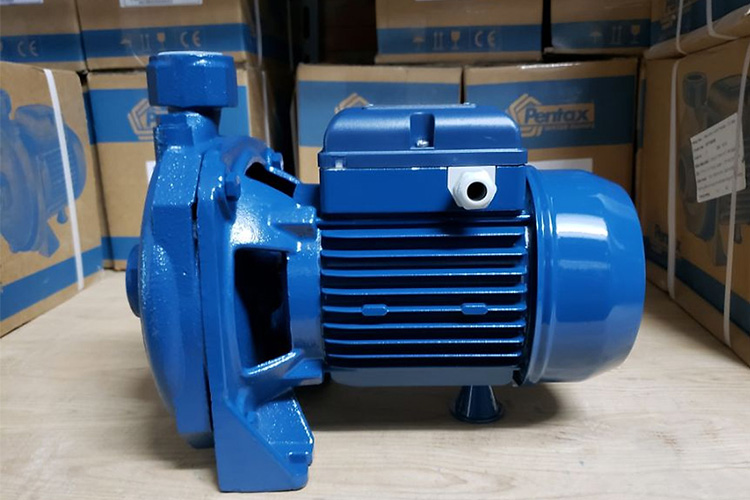 Máy bơm Pentax CM 100