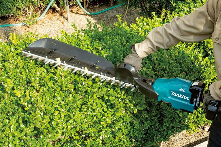 Máy tỉa hàng rào 600mm/BL Makita DUH604SZ