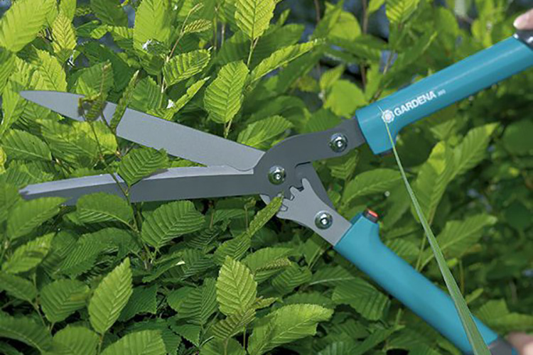 Kéo bánh răng tỉa rào Gardena Gardena 00393-20