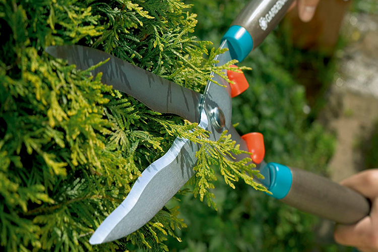 Gardena Gardena 00398-20 galvanized hedge shears
