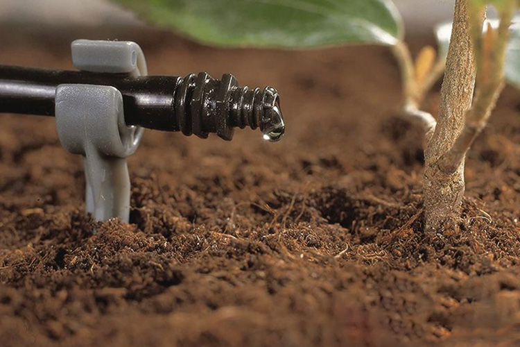 Bộ 25 đầu tưới nhỏ giọt 4lít/h Gardena 01341-20