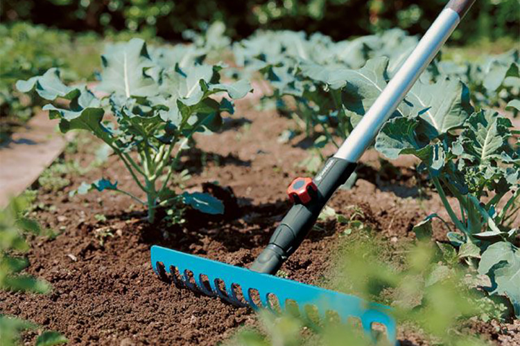 Đầu cào làm xốp đất rộng 41cm Gardena 03179-20