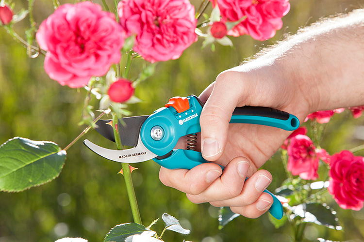 Kéo tỉa cành mũi hếch 22mm Gardena 08857-20